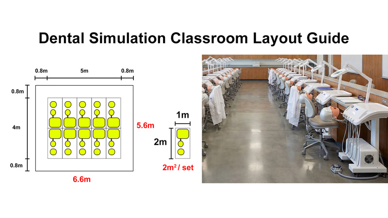 Wie viel Platz benötigen Sie für einen zahnmedizinischen Simulationsraum? Ein praktischer Layout-Leitfaden für Zahnmedizinschulen